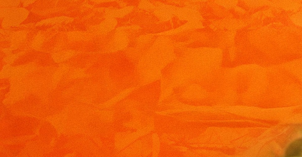 Add Image